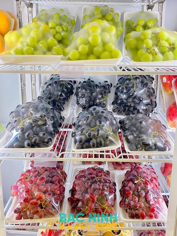 HOA QUẢ SẠCH GOLD FRUIT - GIỎ QUẢ BIẾU TĂNG – hình ảnh 3