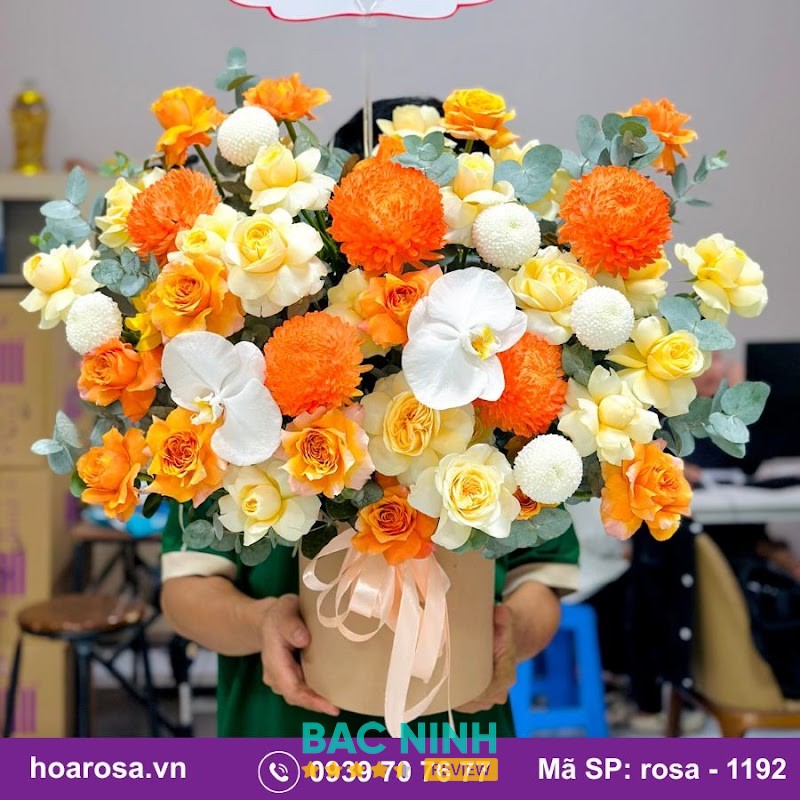 Hoarosa – hình ảnh 2