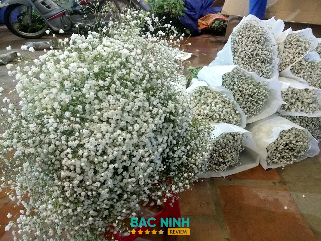 Hoa Tươi Thắng Thảo tại Võ Cường