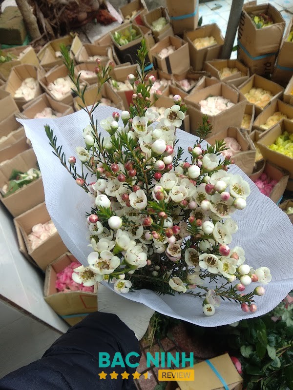 Hoa Tươi Thắng Thảo – hình ảnh 3