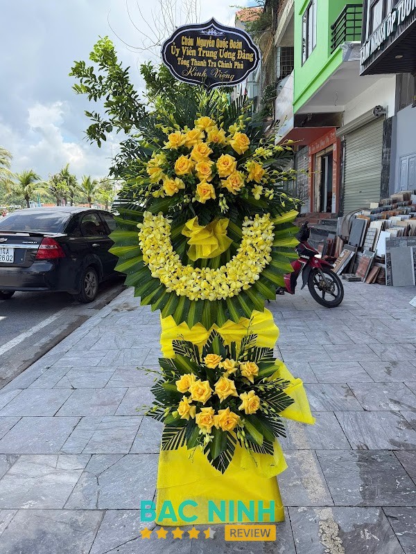 Hoarosa tại Võ Cường