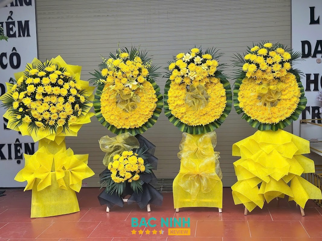 Hoarosa – hình ảnh 3