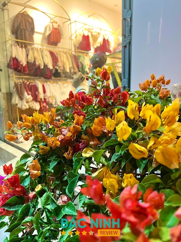 Tiệm Nhà Bông - hình ảnh 2