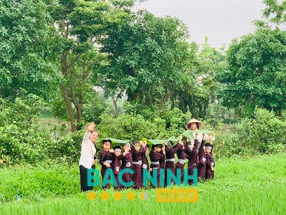 Mầm Non Song Ngữ Sunflower Yên Phong
